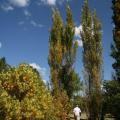 Scenic Queenstown